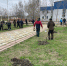В Бабаюртовском районе прошел субботник по посадке новых деревьев - Бабаюртовские вести