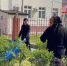 В Бабаюртовском районе прошел масштабный общерайонный субботник - Бабаюртовские вести